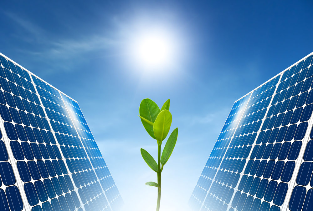 2024 Welche Vorteile Bieten PV Investments Fuer Die Umwelt SunShine Sales
